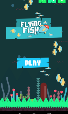 Flying Fish Adventure